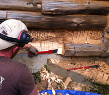 Log Home Rot Repair