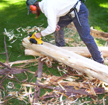 Log Home Log Replacement